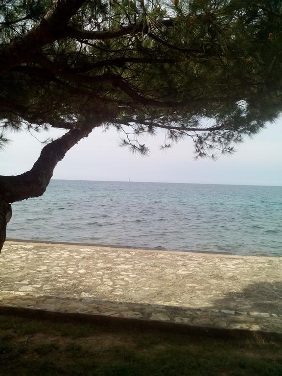 House Monika Apartment Porec Exterior photo
