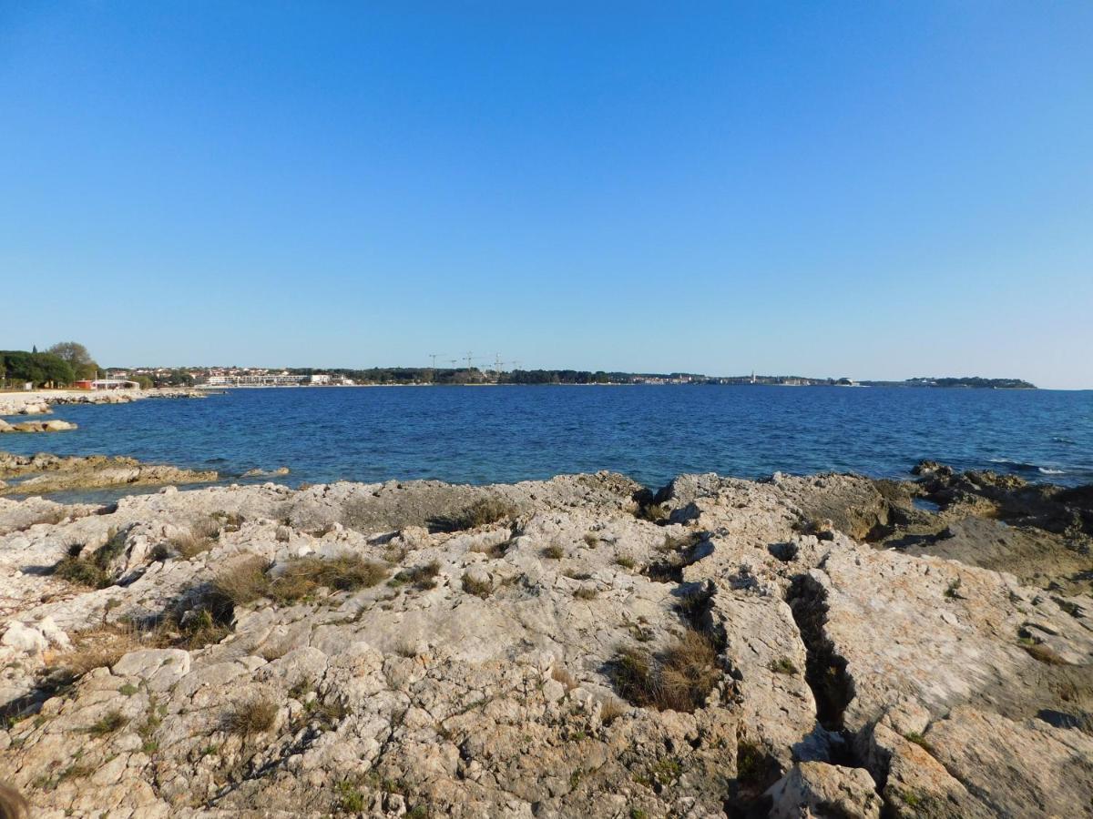House Monika Apartment Porec Exterior photo